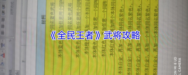 如何在全民王者中快速掌握武将技能？