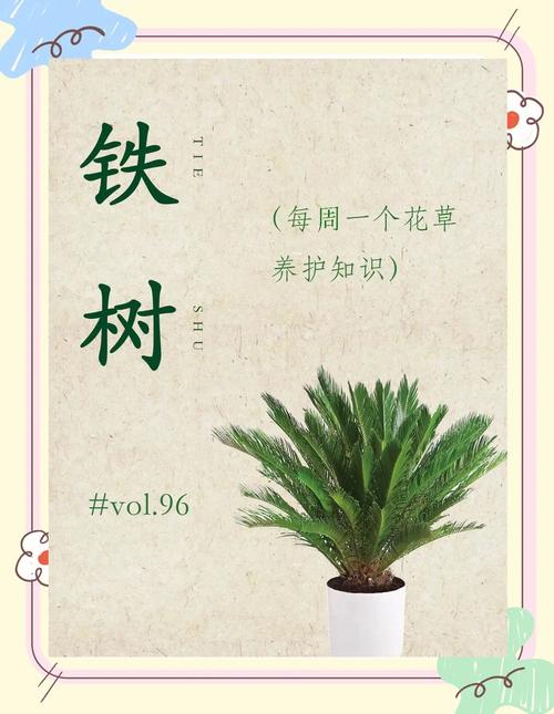 解析梦见铁树开花象征寓意竟出乎意料，背后蕴藏何种玄机？