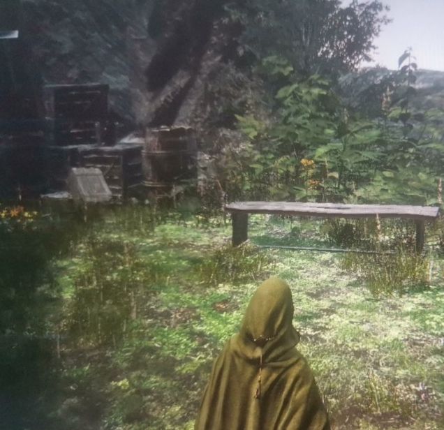 深入探索艾尔登法环：黑夜君临隐士追忆支线攻略 | 获得隐藏奖励，提升游戏水平