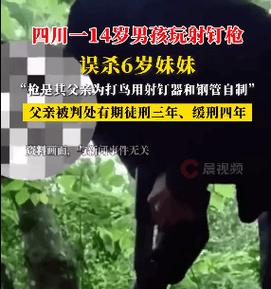 14岁男孩玩射钉枪误杀妹妹：深度解析事件原因与高效解决方案