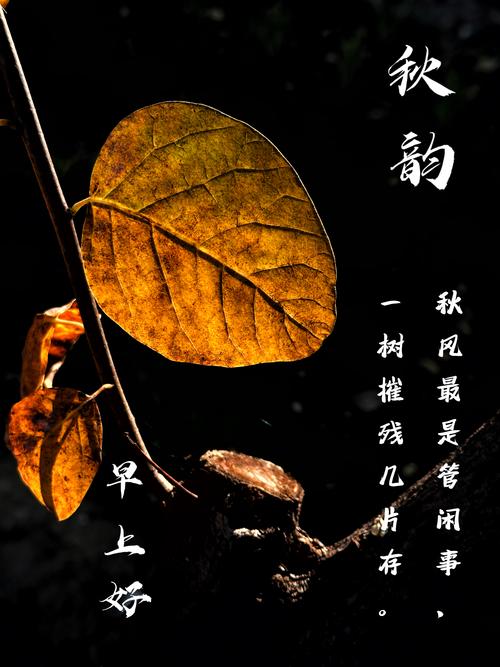 梦见落叶的5个深度心理解析与生活启示 梦见落叶的5个深度心理解析与生活启示