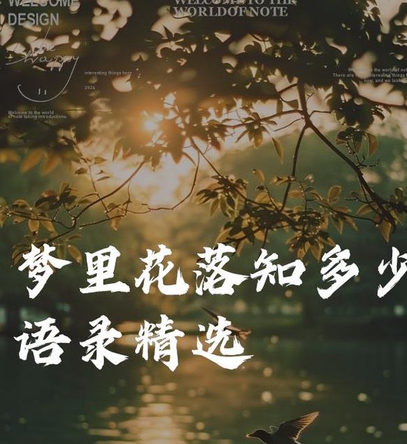 解密梦见花落寓意内心情感与未来运势解析 解密梦见花落寓意内心情感与未来运势解析