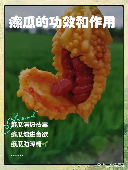 梦见腐烂的瓜类寓意解析 vs 实际生活心理暗示与现实预警