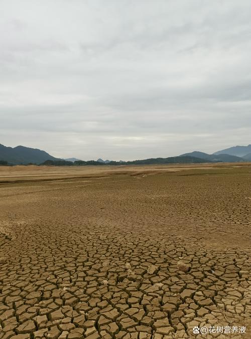 梦见干旱预示着哪些？解析梦境背后的心理暗示与生活启示