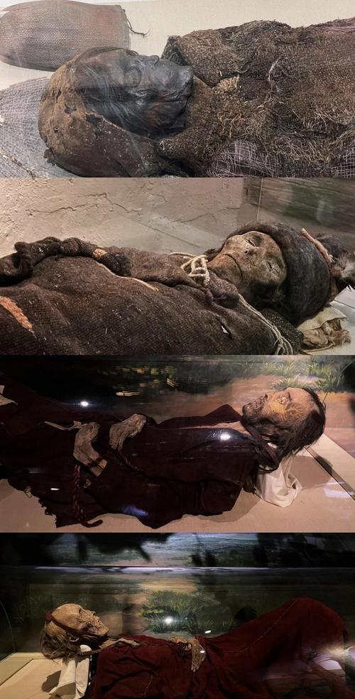 梦见干尸意味着哪些？探索心理解读与隐秘象征