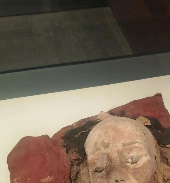 梦见干尸意味着哪些？探索心理解读与隐秘象征