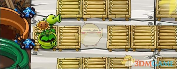 植物大战僵尸杂交版商店副本：高坚果肥料袋攻略详解 | 快速提升游戏技巧