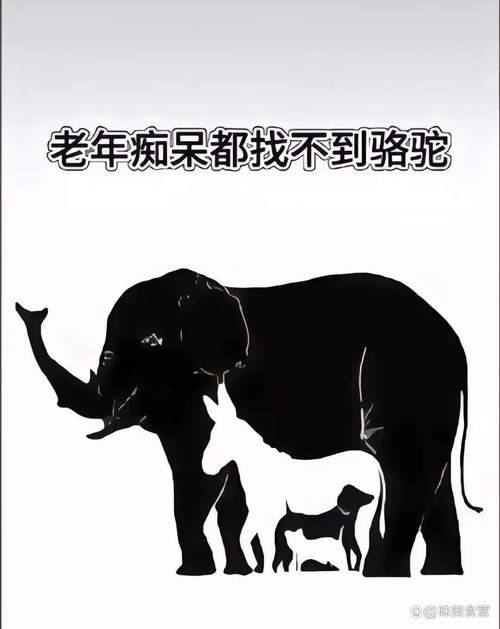 梦见驼子？解读5个背后的心理暗示揭秘