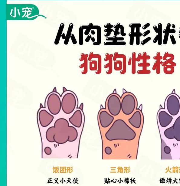 梦见动物爪子的7个寓意解析及注意事项 梦见动物爪子的7个寓意解析及注意事项