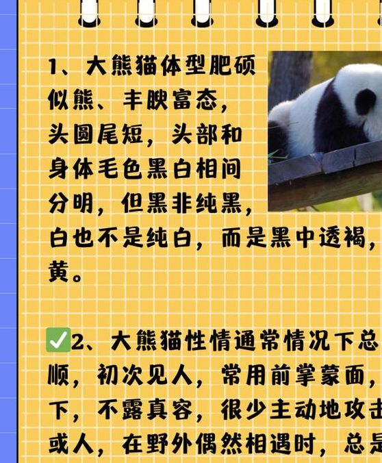 梦见熊猫预示哪些象征意义？背后的心理解读全揭秘