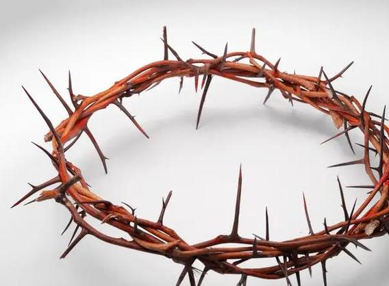 梦见荆棘的深层含义与解梦技巧，助你提升生活规划