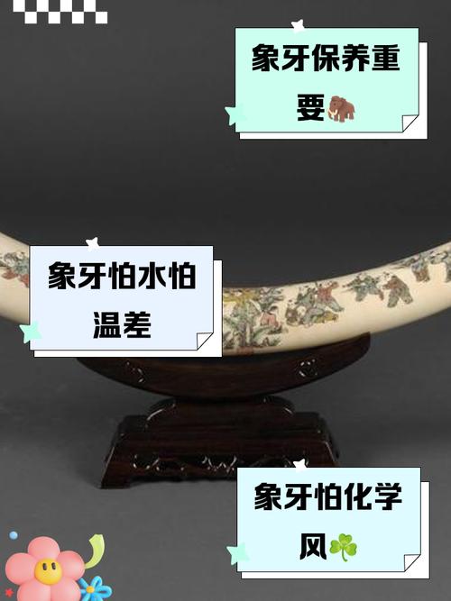 梦见象牙解析象征财富与智慧 vs 潜藏风险暗示
