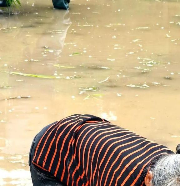 梦见插秧意味着哪些？解读生活改变的高效解决方案