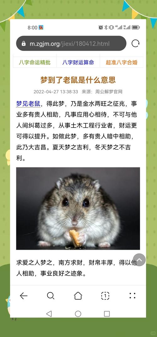 揭秘梦见老鼠的11个心理暗示专家解读与应对方案