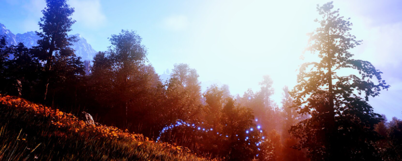 上古卷轴4：湮灭重制版单人攻略——提升游戏技能的专业建议