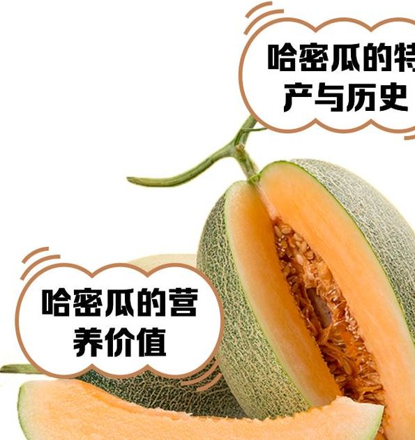 梦见哈密瓜的象征意义与心理解析寻梦解答 vs 生活启示