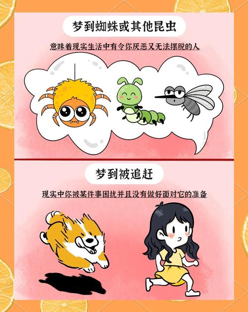 梦见拉链意味着哪些？探索梦境背后的心理暗示！