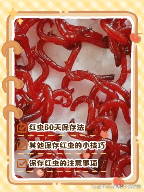 梦见红虫的象征意义，你不可忽视的内心变化解析！