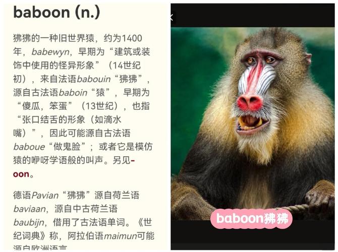 梦见狒狒揭秘6种心理暗示与生活启示 梦见狒狒揭秘6种心理暗示与生活启示