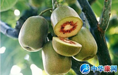 梦见猕猴桃的启示探寻内心需求与解决方案