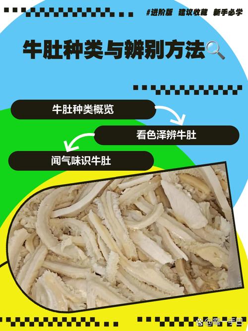 梦见牛肚解析5个权威观点揭示背后深意与影响