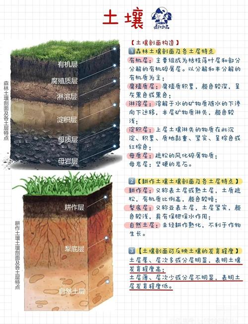 梦见泥土解析5个心理学视角揭示深层含义 梦见泥土解析5个心理学视角揭示深层含义