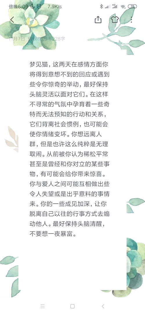 解读梦境梦见猫群追赶你的心理意义与建议