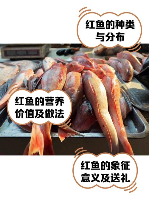 梦见红鱼的科学解析4个心理暗示及权威解读