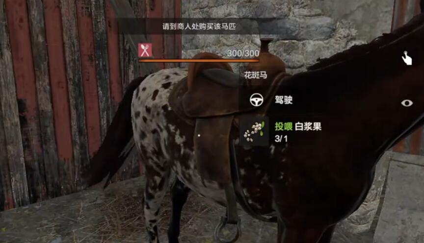 如何高效获取失控进化坐骑？详细攻略揭秘！