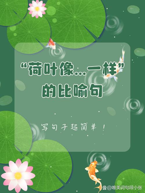 梦见荷叶预示哪些？解读背后的心理暗示与玄机