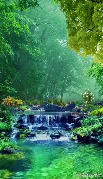 梦见小溪寓意解读心理疗愈 vs 梦境暗示哪个更深刻？