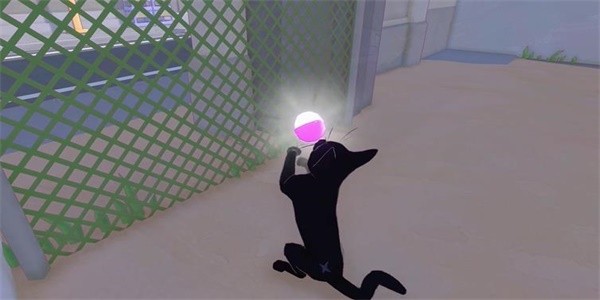 如何在小猫咪大城市中快速获得茄子帽？实用攻略全揭秘！