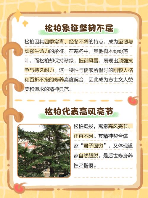 梦见松柏寓意深远,解读心灵启示,网友象征坚韧与长寿的梦境解析! 梦见松柏寓意深远,解读心灵启示,网友象征坚韧与长寿的梦境解析!