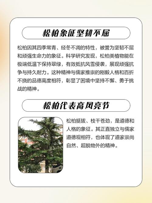 梦见松柏寓意深远,解读心灵启示,网友象征坚韧与长寿的梦境解析! 梦见松柏寓意深远,解读心灵启示,网友象征坚韧与长寿的梦境解析!
