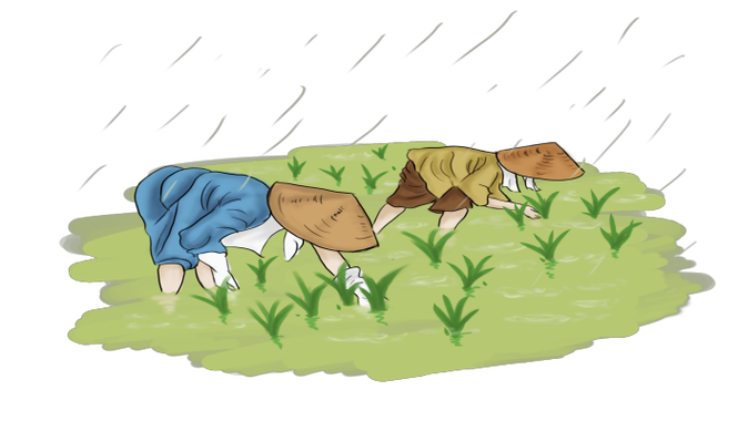 深入梦境解析梦见秧苗的心理暗示与寓意解读 深入梦境解析梦见秧苗的心理暗示与寓意解读