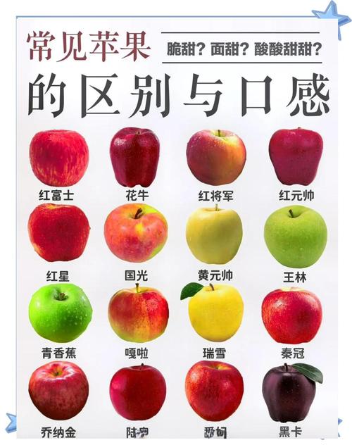 梦见苹果解析心理暗示与现实寓意的对比分析 梦见苹果解析心理暗示与现实寓意的对比分析