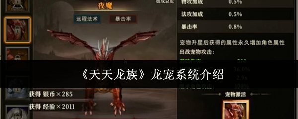你是否真正了解天天龙族龙宠系统的奥秘？