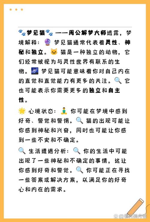 梦见猫入室详解吉凶寓意及应对策略对比分析