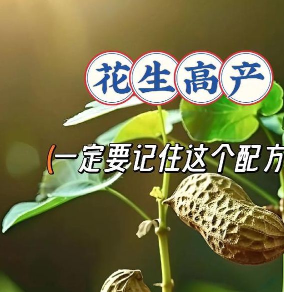 揭秘梦见种花生的5大心理暗示,提升内心成长潜力 揭秘梦见种花生的5大心理暗示,提升内心成长潜力