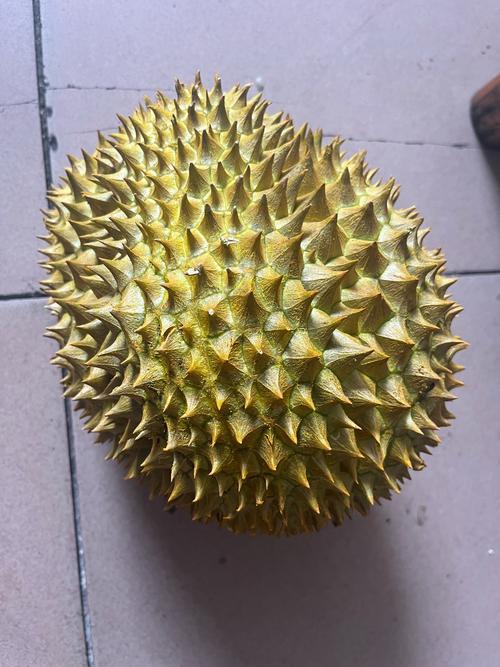 梦见榴莲的5种心理解读专家解析与潜意识揭示 梦见榴莲的5种心理解读专家解析与潜意识揭示
