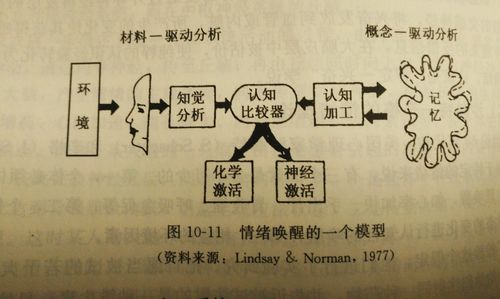 梦见祭台的含义解析3个心理学视角分析 梦见祭台的含义解析3个心理学视角分析