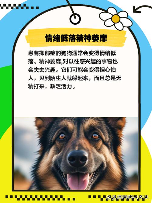 梦见灰狗的深层心理解析,专家解读揭示内心世界的潜在力量! 梦见灰狗的深层心理解析,专家解读揭示内心世界的潜在力量!