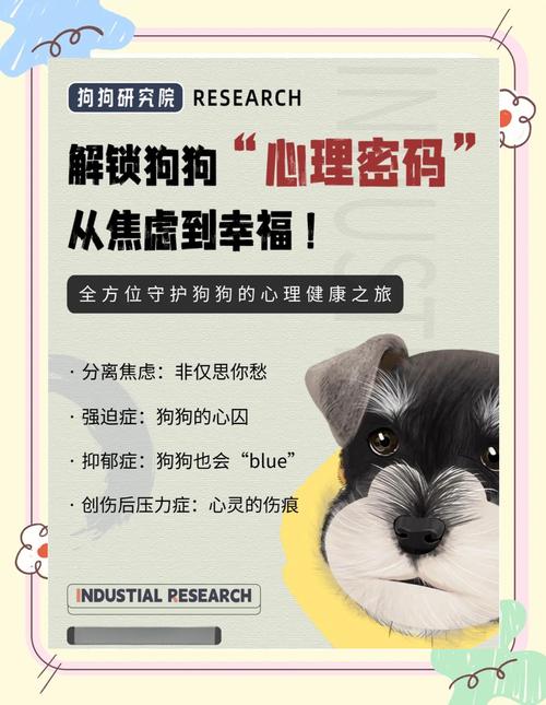 梦见灰狗的深层心理解析,专家解读揭示内心世界的潜在力量! 梦见灰狗的深层心理解析,专家解读揭示内心世界的潜在力量!