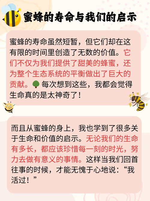 解梦蜂箱心理解析与现实启示,揭示新发现 解梦蜂箱心理解析与现实启示,揭示新发现
