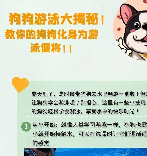 梦见狗游泳含义解析心理暗示与生活启示 梦见狗游泳含义解析心理暗示与生活启示