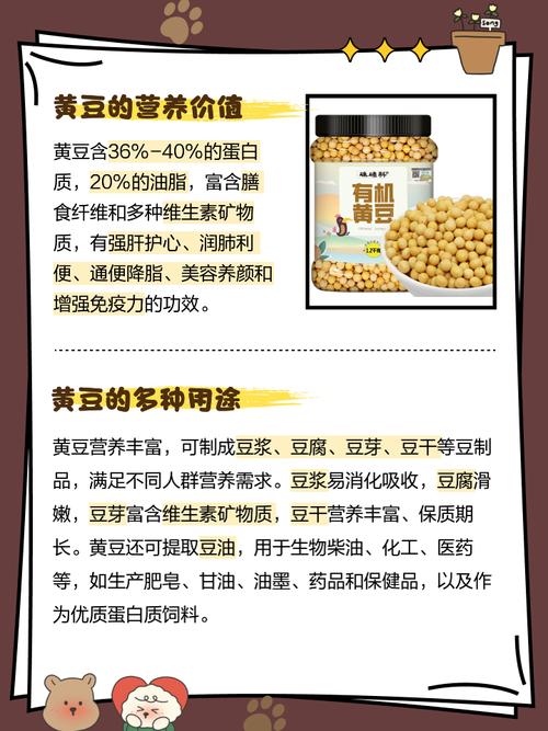 梦见黄豆的深层心理解析揭示3个独特生活启示 梦见黄豆的深层心理解析揭示3个独特生活启示