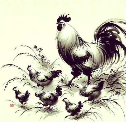 梦见被公鸡啄预示哪些？解读梦境心理与吉凶长尾分析