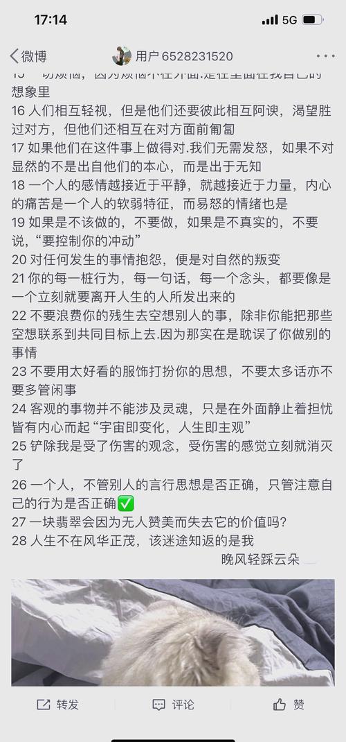 梦见清规戒律的深意解读，心灵宁静探索梦境背后的心理影响与生活指南！