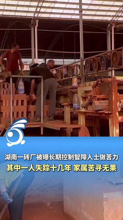智障男子为何被长期困于砖厂？揭开背后的秘密与解救之路