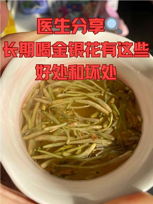 梦见金银花解析5个象征意义及其心理影响 梦见金银花解析5个象征意义及其心理影响